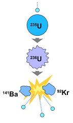 A nucleus of a uranium atom is struck by a neutron, becomes unstable and is divided into a nucleus of barium (Ba) and a krypton (Kr), and three more neutrons and energy