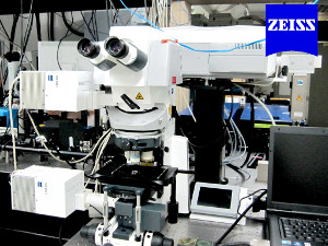 Microscópio Confocal Upright Zeiss LSM780-NLO