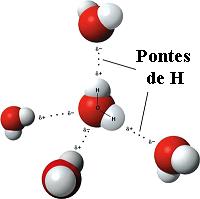 Hydrogen bonds