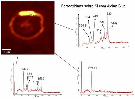 Espectro Raman de vários pontos do material depositado pela bactéria Acidithiobacillus ferrooxidans