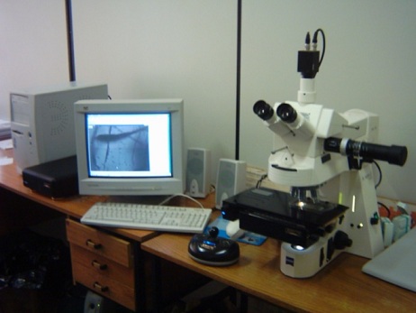 Sistema de microscopia para análise dos traços nucleares
