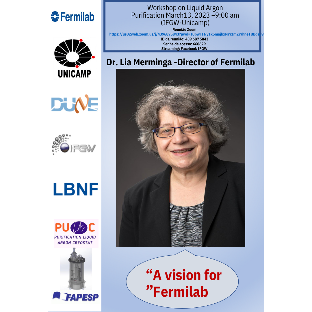 Workshop on Liquid Argon Purification do Fermilab