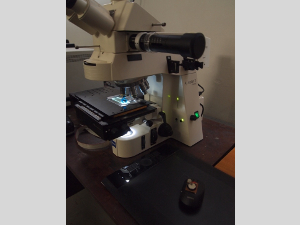 Microscópio óptico Zeiss Axioplan 2
