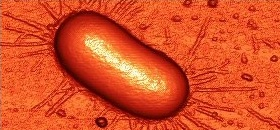 Laboratório de Nanoestruturas e Interfaces (LNI)